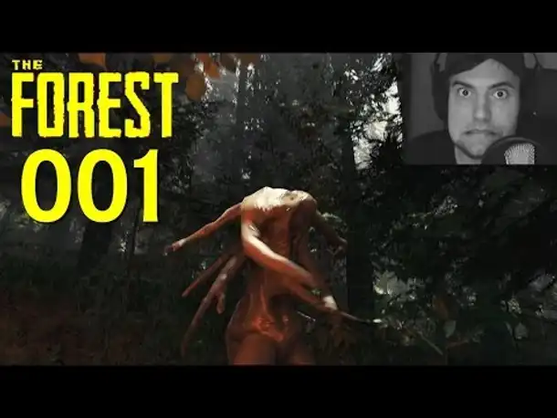Let's Play The Forest Part 1 Gestrandet mit Kannibalen (Gameplay German Deutsch)