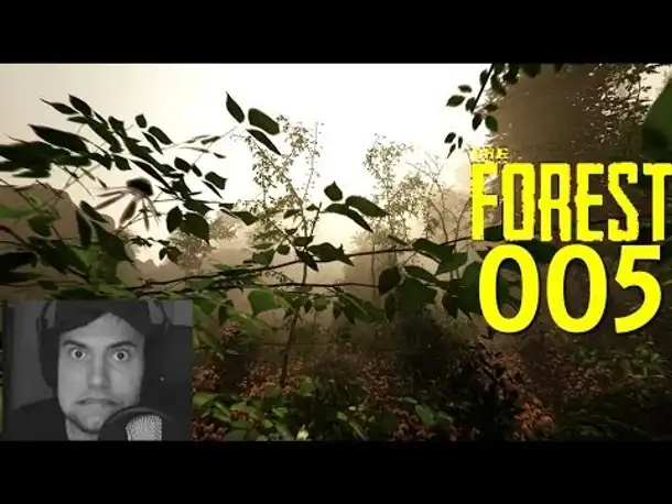 Let's Play The Forest Part 5 Erkundungsreise (Gameplay German  Deutsch)