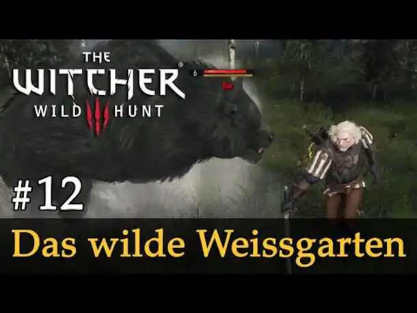 #12: Das wilde Weissgarten ✦ Let's Play The Witcher 3 (Next Gen / Slow-, Long- & Roleplay)