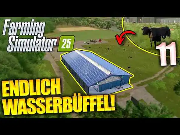 Kuhstall mit RIESIGER Weide bauen! | Farming Simulator 25