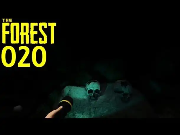 Let's Play The Forest Part 20 Super Spot & Dummer Sturz ( Gameplay German Deutsch)