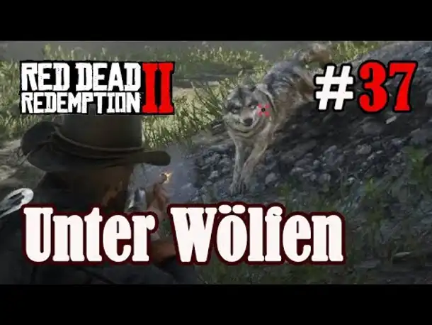 Let's Play Red Dead Redemption 2 #37: Unter Wölfen [Frei] (Slow-, Long- & Roleplay)