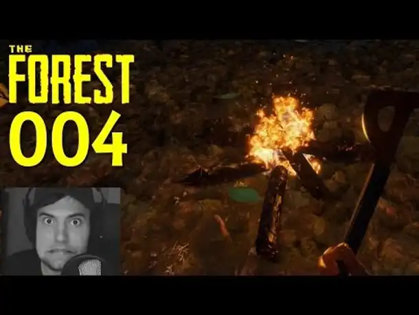 Let's Play The Forest Part 4 Lagerbau für Anfänger (Gameplay German Deutsch)