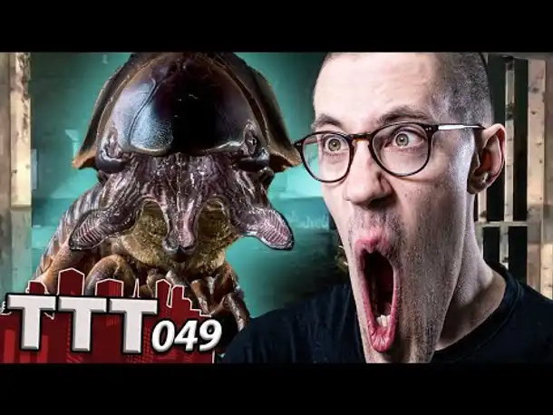 Die Bestie wird LOSGELASSEN! | TTT | 049
