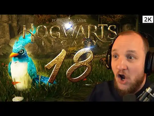 Lets Play Hogwarts Legacy (Deutsch) [2K] [Blind] #18 - Rettung von magischen Tierwesen