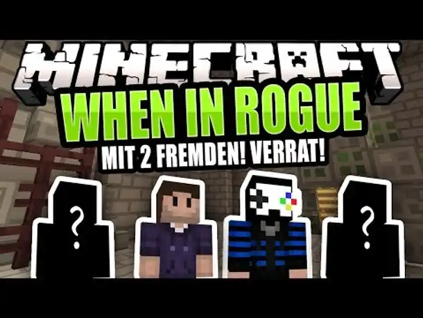 Sprachlose Unterstützung! [1/2] | MINECRAFT When in Rogue