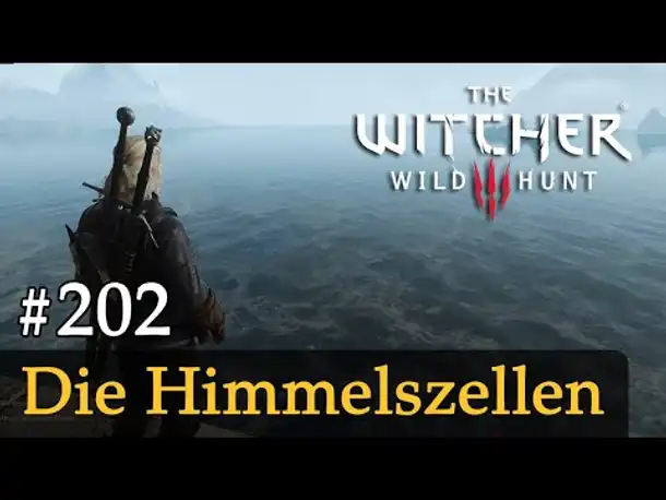 #202: Die Himmelszellen ✦ Let's Play The Witcher 3 (Next Gen / Slow-, Long- & Roleplay)