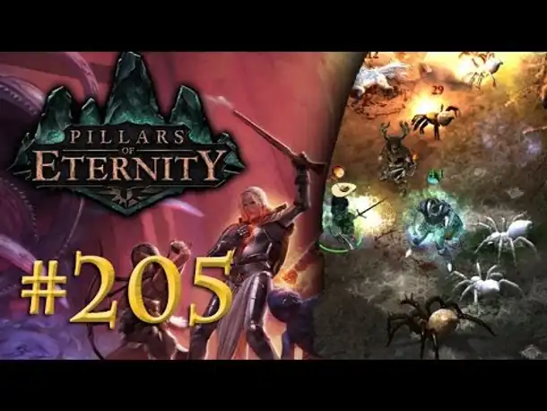 Let's Play Pillars of Eternity #205: Spinnen aller Größen (Blind /Expert / Deutsch)