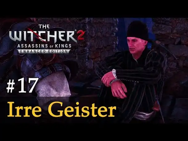 #17: Irre Geister ✦ Let's Play The Witcher 2 (Blind / Schwer / Deutsch)