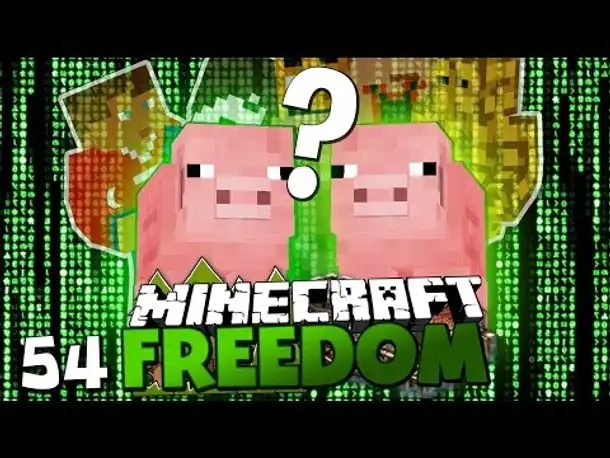 FEHLER IN DER MATRIX ✪ Minecraft FREEDOM #54 | Paluten [Deutsch]