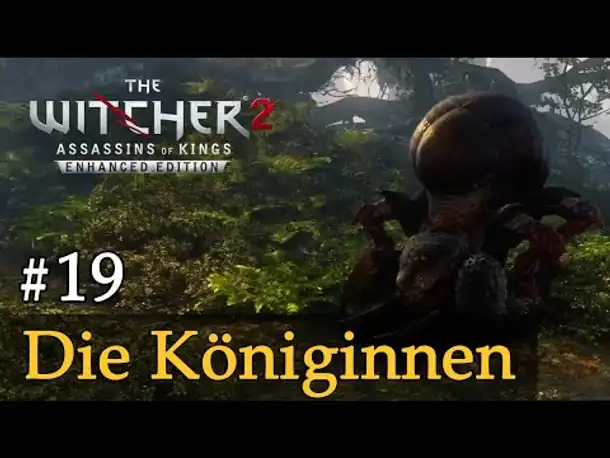 #19: Die Königinnen ✦ Let's Play The Witcher 2 (Blind / Schwer / Deutsch)