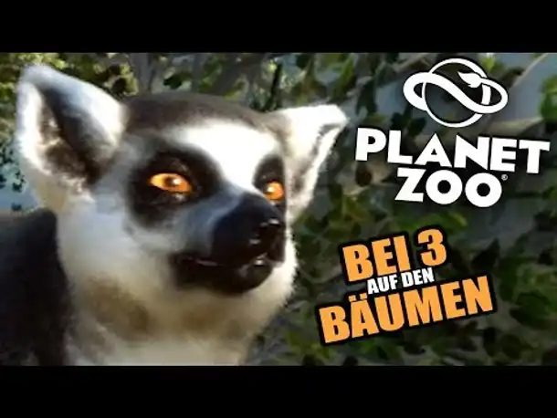PLANET ZOO Beta - 7 - Katta Gehege | Planet Zoo Deutsch ► Franchise Mode