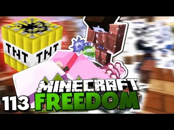 TÖDLICHER SCHWEINE-UNFALL & ZEPPELIN SPRENGUNG! ✪ Minecraft FREEDOM #113 | Paluten