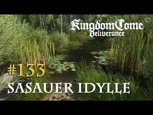 Let's Play Kingdom Come Deliverance #133: Sasauer Idylle (Tag 62 / deutsch)