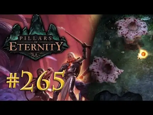 Let's Play Pillars of Eternity #265: Sporen und Pilze (Blind /Expert / Deutsch)