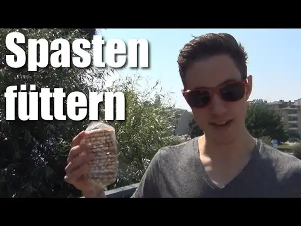 Samstags Shit: Spasten füttern