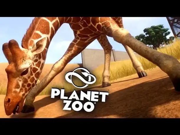 PLANET ZOO Beta - 21 - Die Giraffen sind los! | Planet Zoo Deutsch ► Franchise Mode
