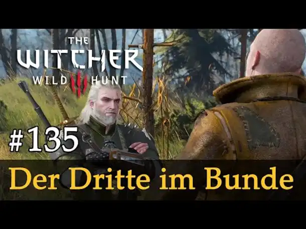 #135: Der Dritte im Bunde ✦ Let's Play The Witcher 3 (Next Gen / Slow-, Long- & Roleplay)