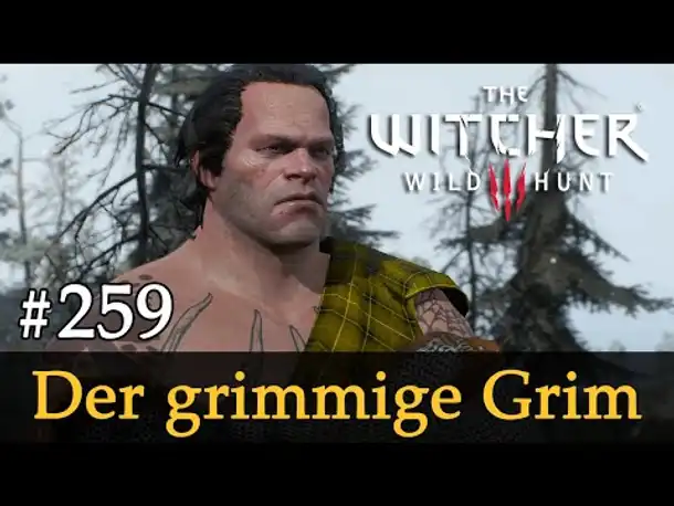 #259: Der grimmige Grim ✦ Let's Play The Witcher 3 (Next Gen / Slow-, Long- & Roleplay)