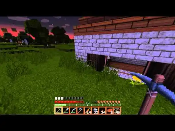 Let's Play Minecraft #003 Der Karottendieb [Deutsch] [HD] [Part3]