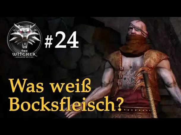 Let's Play The Witcher 1 #24: Was weiß Bocksfleisch? (Modded / Schwer)