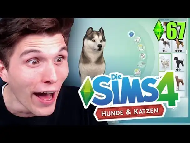 Hunde & Katzen ziehen in unsere WELT ☆ Sims 4