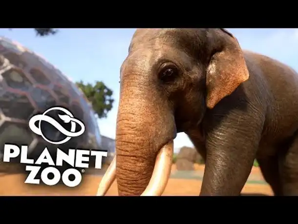 PLANET ZOO Beta - 13 - Indische Elefanten Zucht | Planet Zoo Deutsch ► Franchise Mode