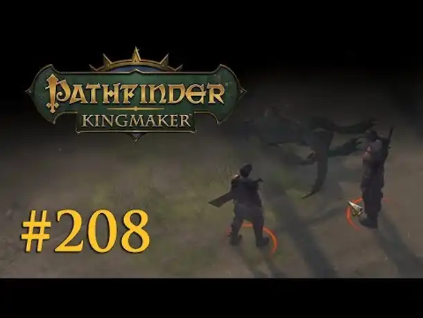 Let's Play Pathfinder: Kingmaker #208 – Auf frischer Tat (Blind / Deutsch)