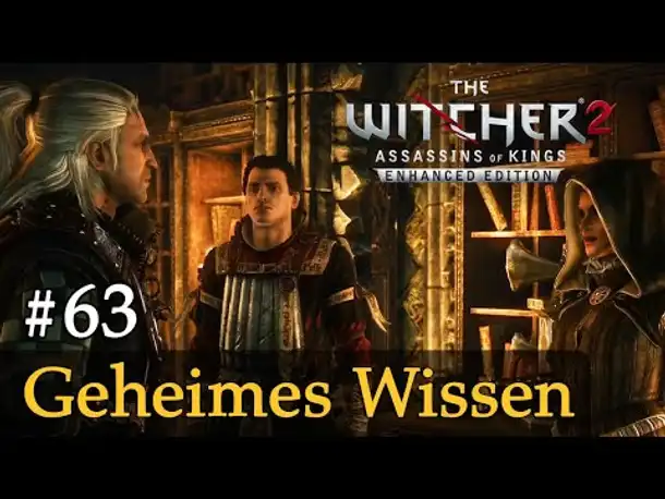 #63: Geheimes Wissen ✦ Let's Play The Witcher 2 (Blind / Schwer / Deutsch)