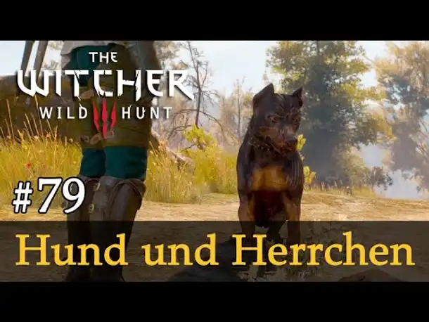 #79: Hund und Herrchen [Freie Erkundung] ✦ Let's Play The Witcher 3 (Slow-, Long- & Roleplay)