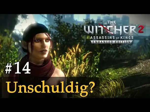 #14: Unschuldig? ✦ Let's Play The Witcher 2 (Blind / Schwer / Deutsch)