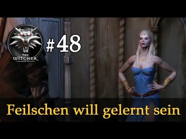 Let's Play The Witcher 1 #48: Feilschen will gelernt sein (Modded / Schwer)
