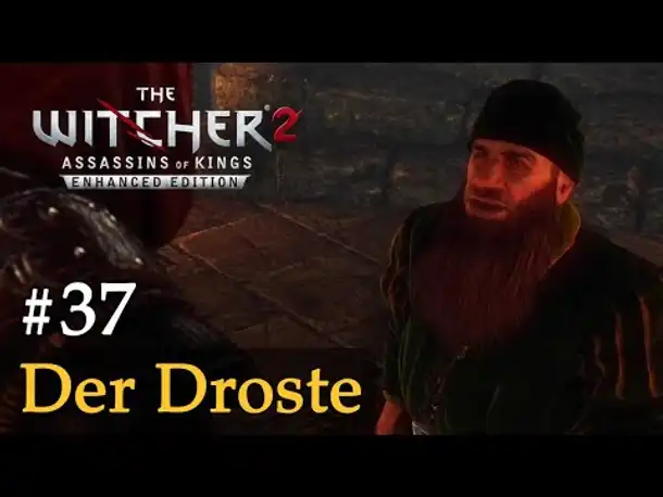 #37: Der Droste ✦ Let's Play The Witcher 2 (Blind / Schwer / Deutsch)