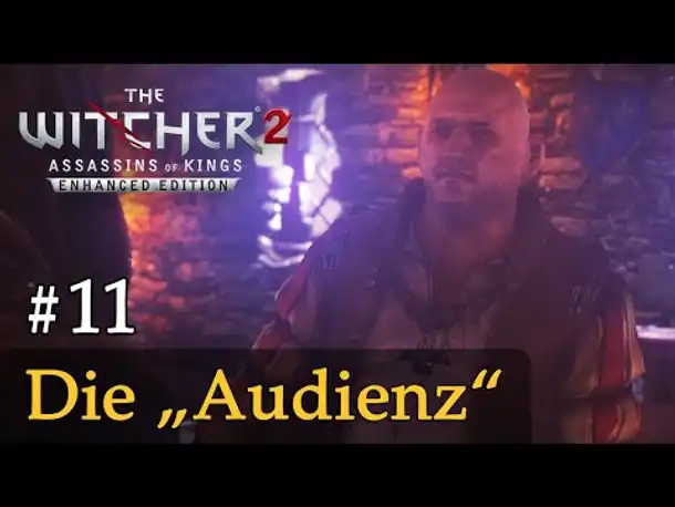 #11: Die "Audienz" ✦ Let's Play The Witcher 2 (Blind / Schwer / Deutsch)