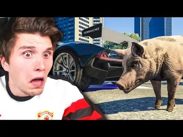 GTA Online HACKER spawnt ÜBERALL SCHWEINE & DELFINE