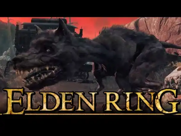 Kurzer Umweg nach Caelid! | ELDEN RING (Part 39)