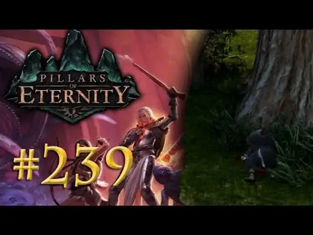 Let's Play Pillars of Eternity #239: Der sterbende Mönch (Blind /Expert / Deutsch)
