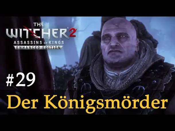 #29: Der Königsmörder ✦ Let's Play The Witcher 2 (Blind / Schwer / Deutsch)