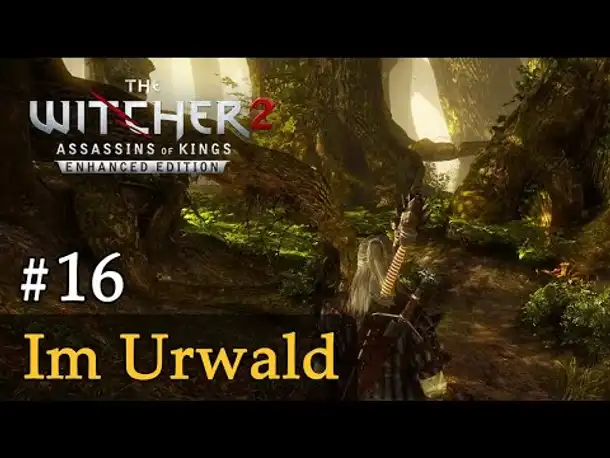 #16: Im Urwald ✦ Let's Play The Witcher 2 (Blind / Schwer / Deutsch)