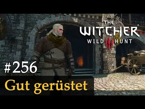 #256: Gut gerüstet ✦ Let's Play The Witcher 3 (Next Gen / Slow-, Long- & Roleplay)