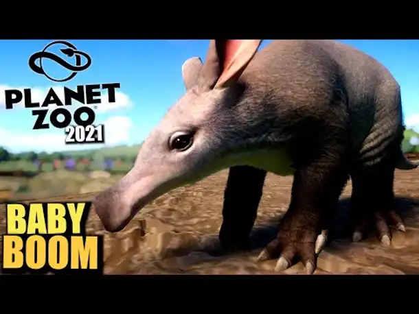 Planet Zoo 2021 - Baby Boom - 4