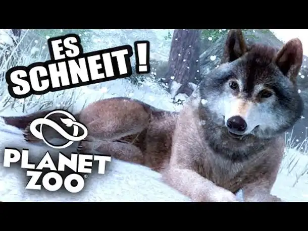 PLANET ZOO Beta - 11 - Das Wetter spielt verrückt! | Planet Zoo Deutsch ► Franchise Mode