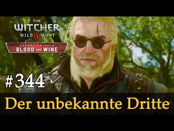 #344: Der unbekannte Dritte ✦ Let's Play The Witcher 3 ✦ Blood and Wine (Slow-, Long- & Roleplay)