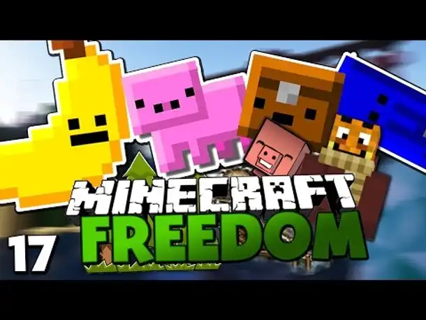 MEINE NEUEN INVENTAR HAUSTIERE & PAARUNG DER CHOCOBOS ✪ Minecraft FREEDOM #17