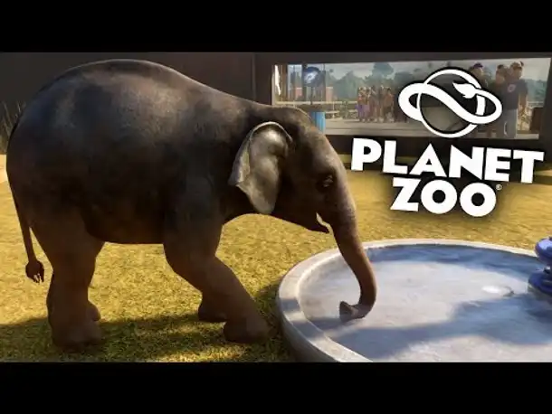 PLANET ZOO Beta - 15 - Flitzende Elefanten Babys :-) | Planet Zoo Deutsch ► Franchise Mode