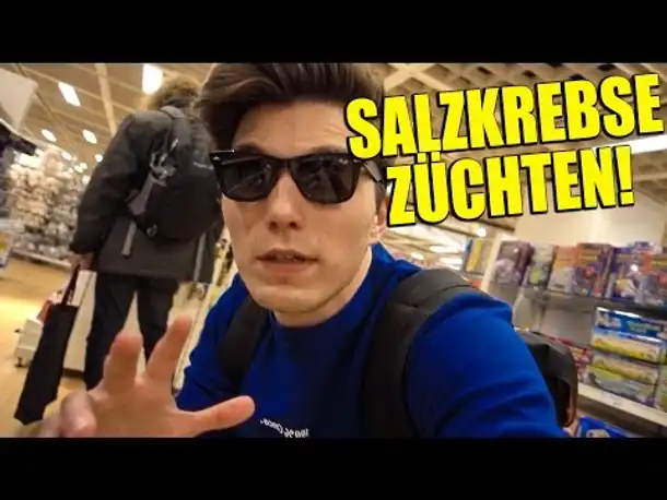 WIR KAUFEN PREMIUM SALZKREBSE