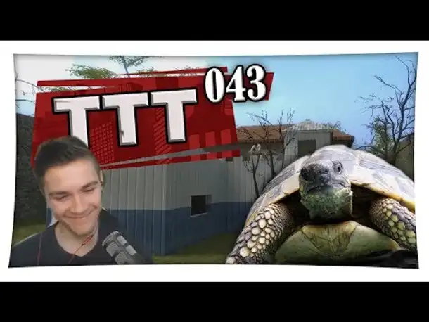 Der Schildkröten Ehrenkodex - TTT mit SPIN | 043