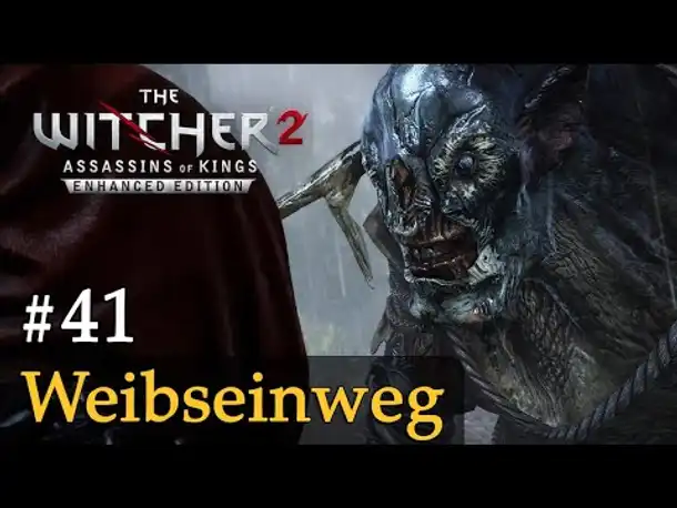 #41: Weibseinweg ✦ Let's Play The Witcher 2 (Blind / Schwer / Deutsch)
