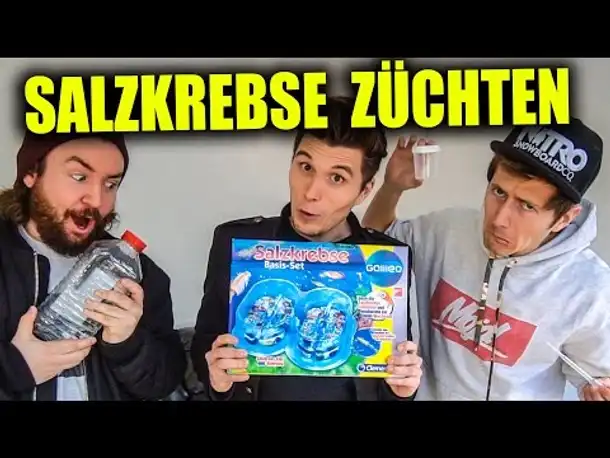WIR ZÜCHTEN SALZKREBSE IM UFO & RIP DNER