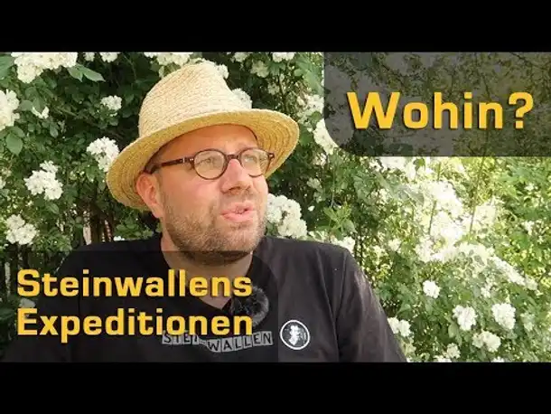 Kanalupdate - Steinwallens Expeditionen: Wohin soll die Reise gehen? Ihr entscheidet!